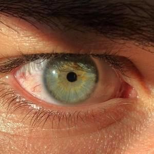 Meet your Posher, Evan